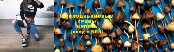 прущая мука Алзамай