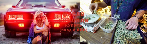 прущая мука Алзамай