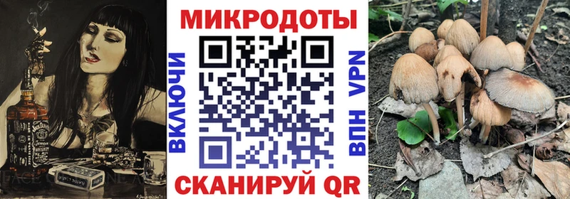 где продают наркотики  Петровск-Забайкальский  Псилоцибиновые грибы мицелий 