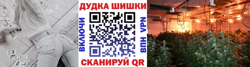 дарнет шоп  Петровск-Забайкальский  Марихуана Amnesia 